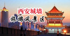 射逼逼影视中国陕西-西安城墙旅游风景区