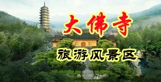 专业插逼免费视频中国浙江-新昌大佛寺旅游风景区